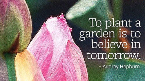 audrey hepburn garden quote