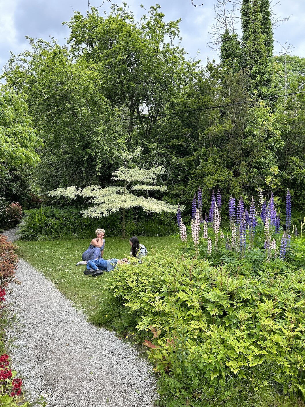 IMG_9049